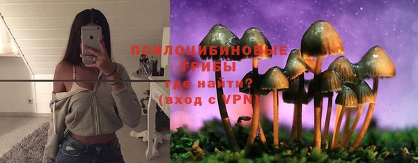 метадон Бородино